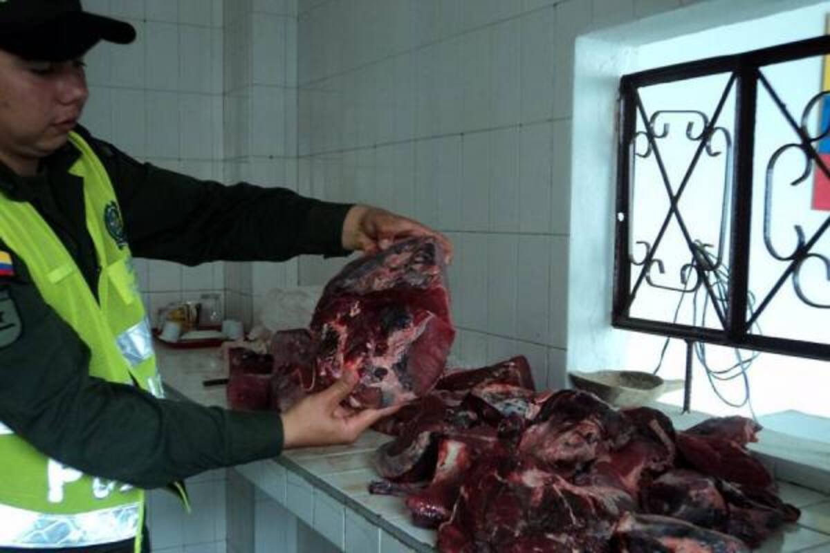 Este era el estado de la carne decomisadas por las autoridades sanitarias y de policía del municipio de Güepsa.(Foto: Suministrada /VANGUARDIA LIBERAL)