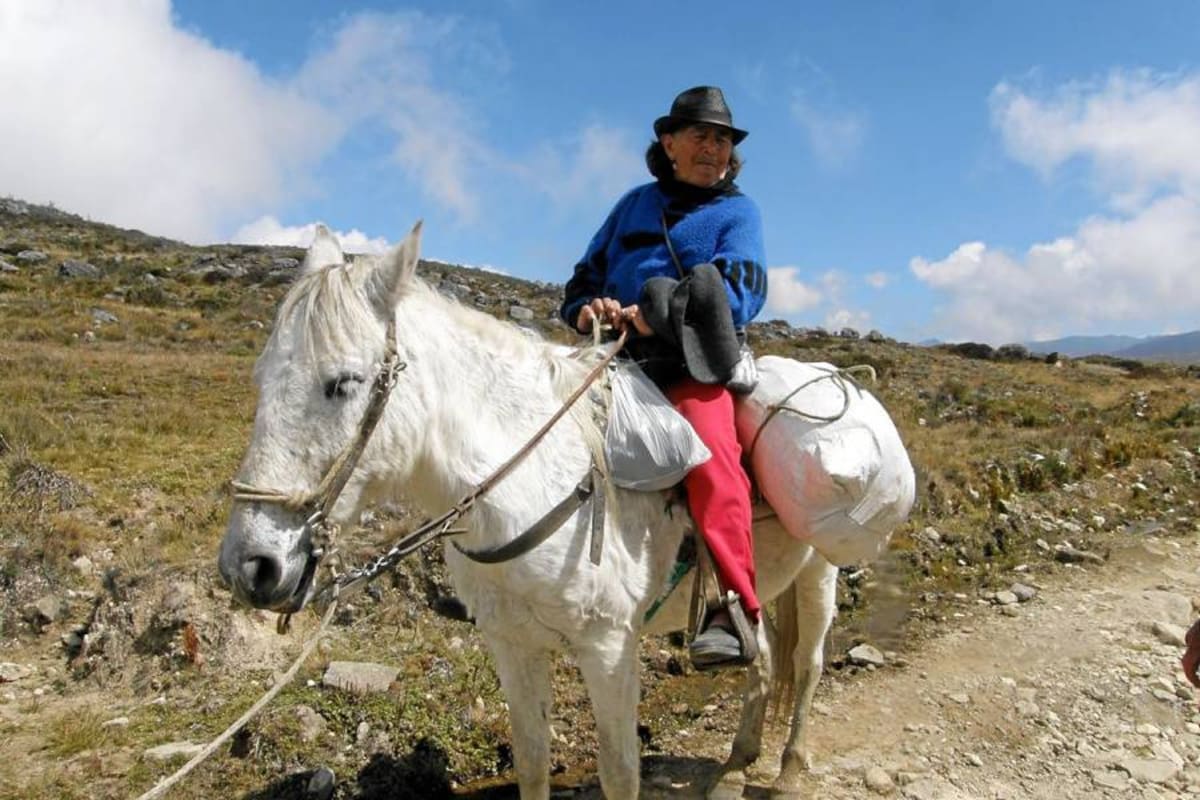 Las voces de los que habitan el Páramo de Santurbán