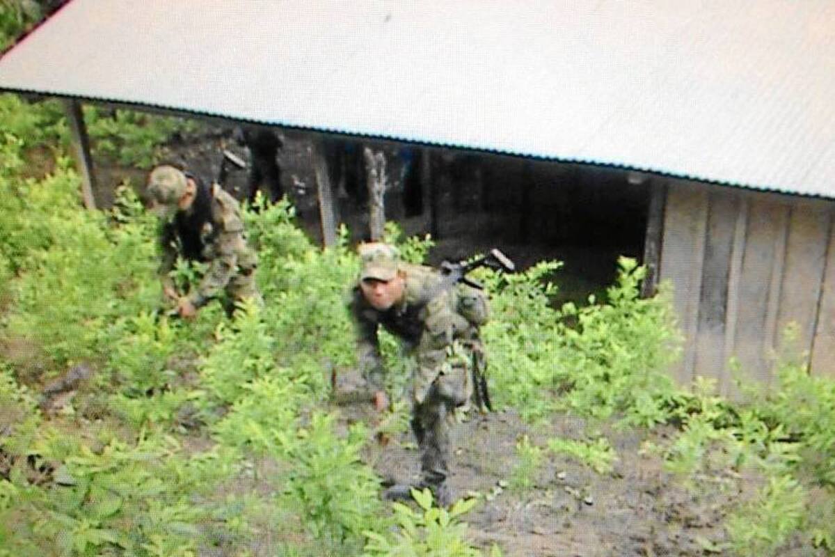 En los operativos adelantados por las tropas no hubo captura de personas que cuidaban los lugares. Sin embargo el Ejército procedió a la destrucción controlada de estas matas y la construcción. (Foto: Suministrada/ VANGUARDIA LIBERAL)