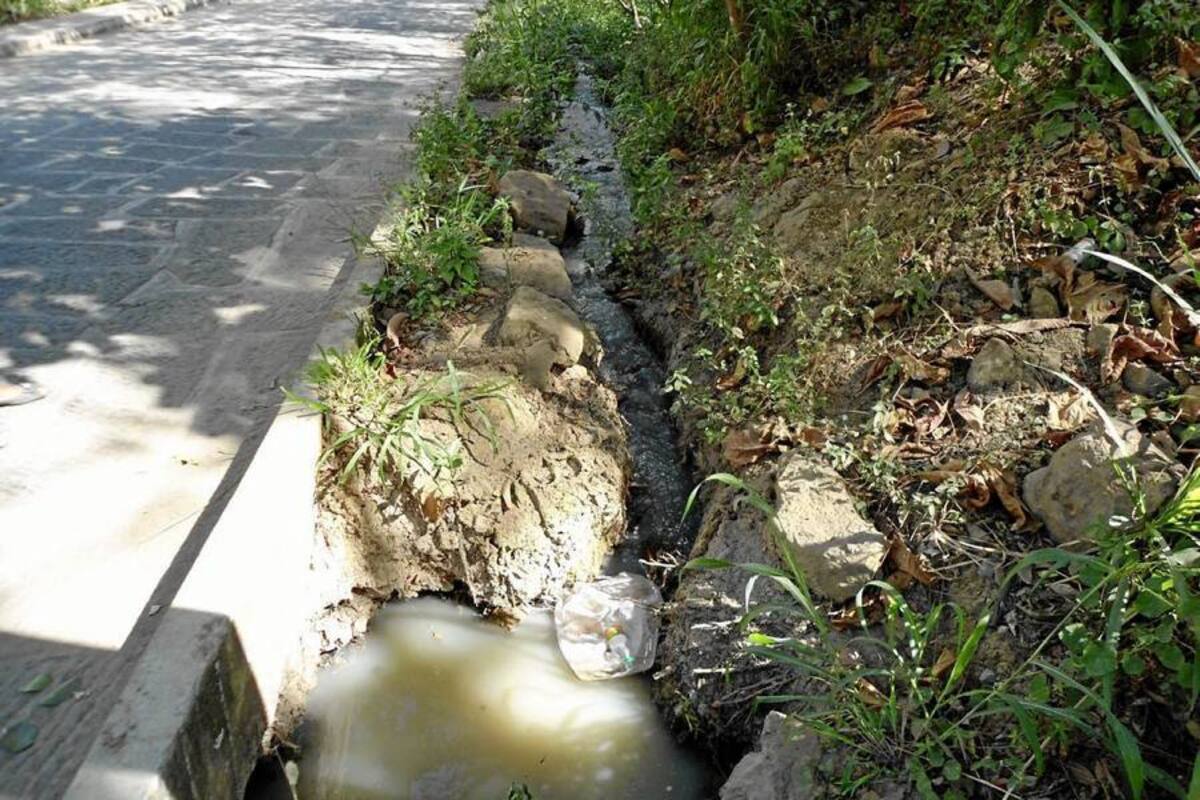 Esta es la imagen de la corriente de aguas negras que van a lo largo de la calle 10 emitiendo fétidos olores. (Foto: Nancy Acuña R./VANGUARDIA LIBERAL)