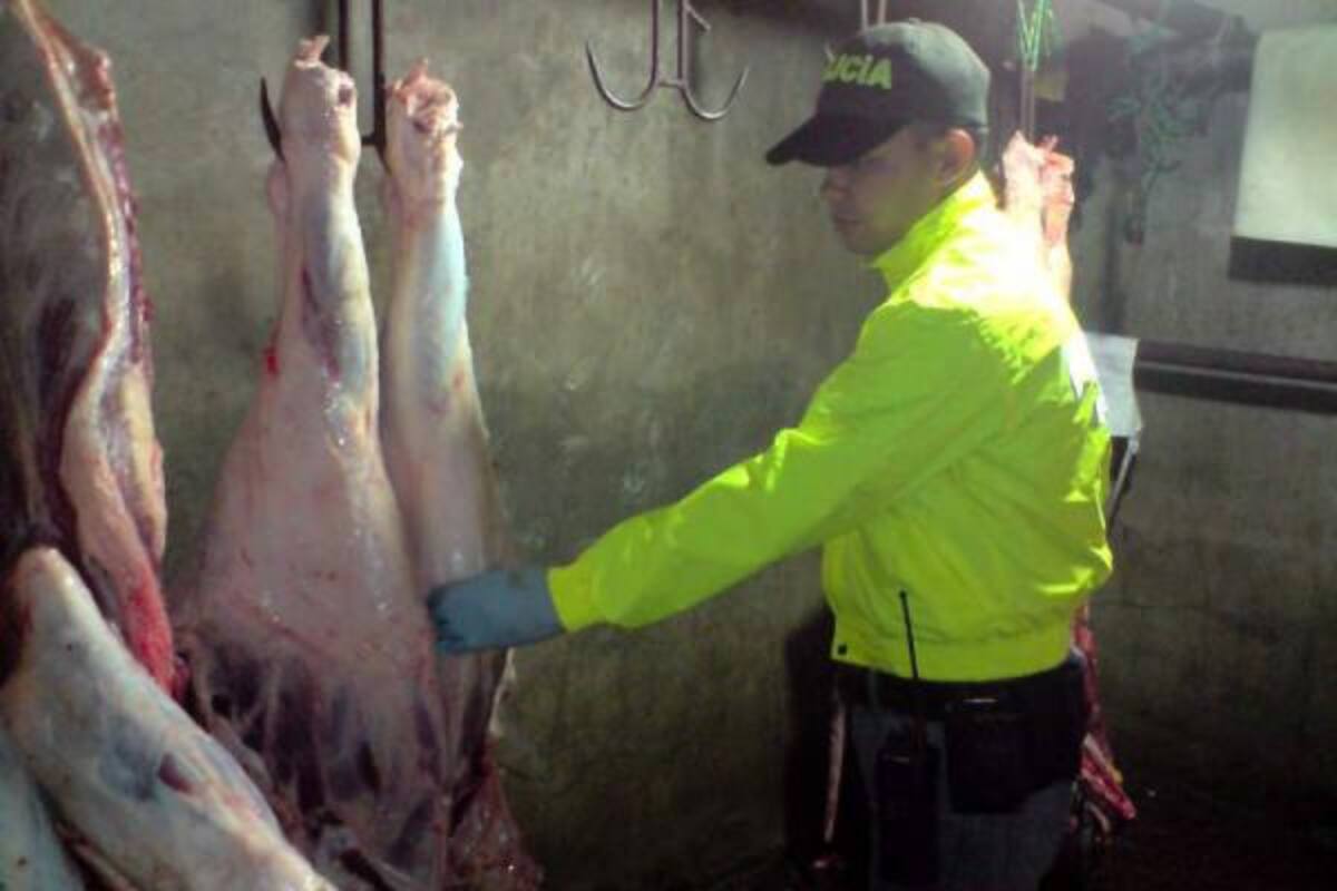 El operativo fue adelantado en una finca de la vereda Bosconia, en el municipio de Floridablanca.(Foto: Suministrada/VANGUARDIA LIBERAL )