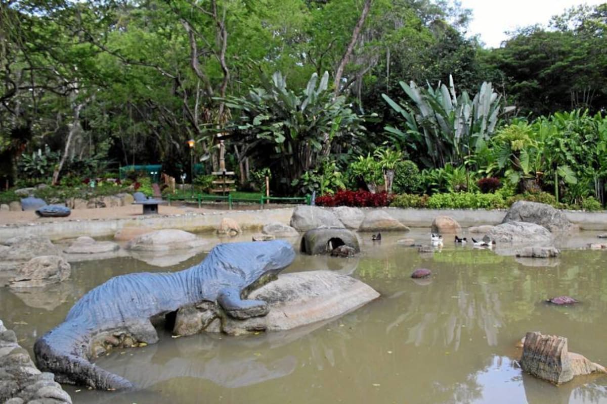 Quedó reabierto el Jardín Botánico Eloy Valenzuela (Foto: Suministrada /VANGUARDIA LIBERAL)