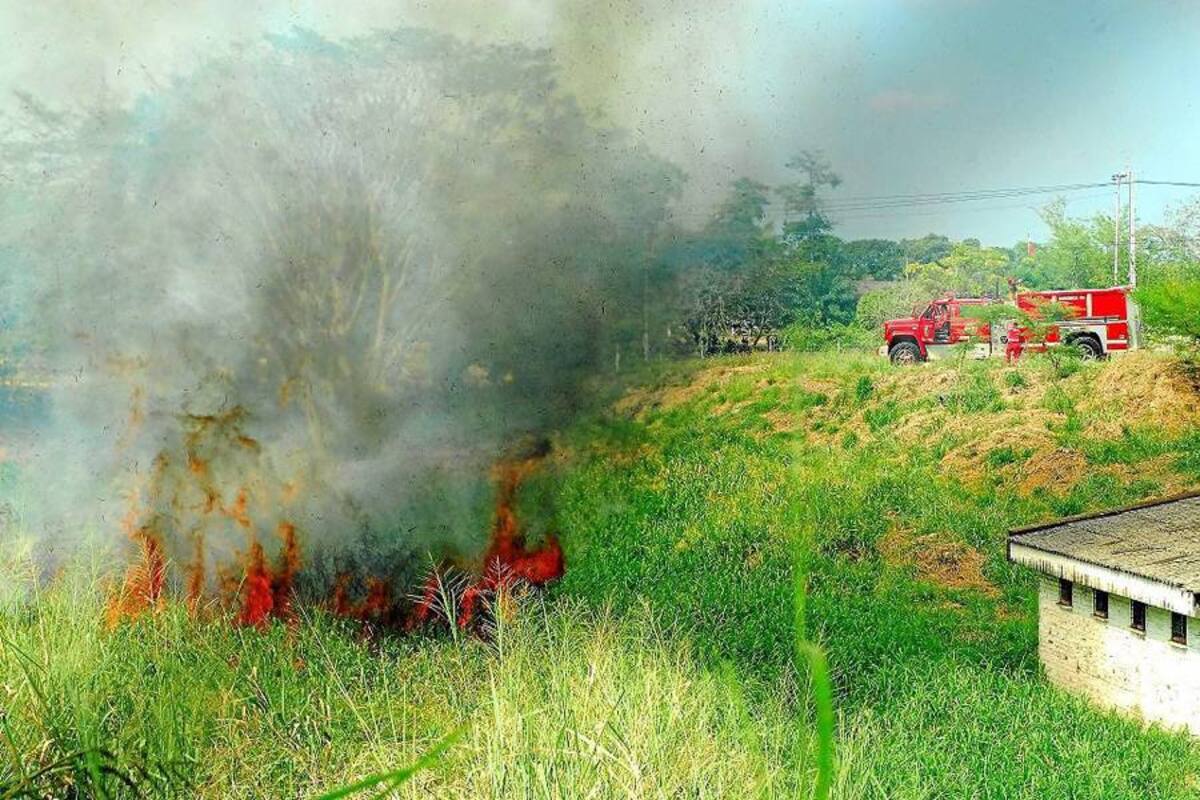 Autoridades hablarán sobre gestión de riesgos forestales