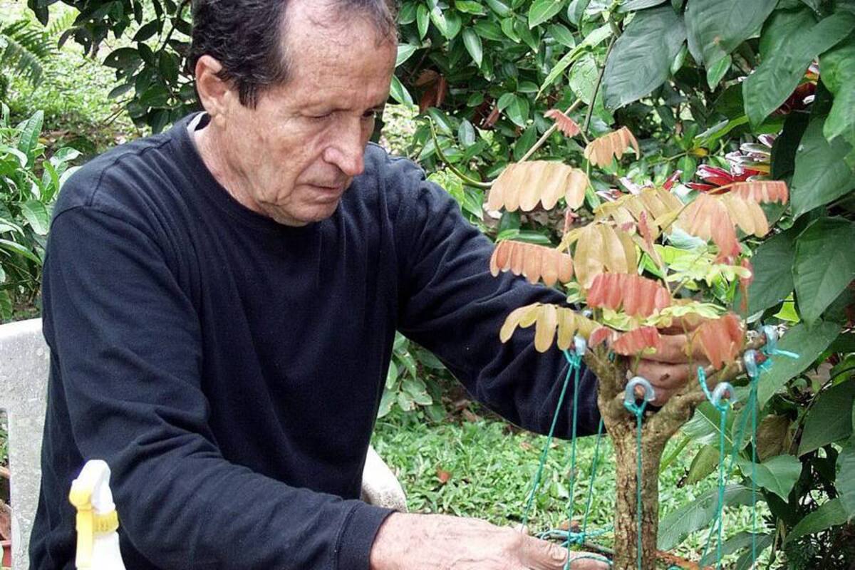 Un total de 12 estudiantes del Sena y un ex instructor de la entidad se han dado a la tarea de formar una corporación para el desarrollo del arte de la jardinería. (Foto: / VANGUARDIA LIBERAL)
