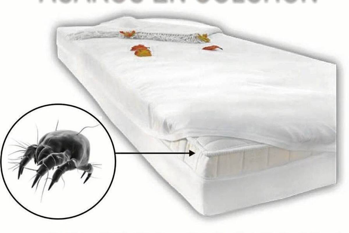 ¿Le ha regalado su colchón a un familiar porque decidió comprar uno nuevo? ¿Sabe cuántos años de uso tiene su colchón? ¿Alguna vez lo ha sacado al sol, aspirado o limpiado? Los problemas de rinitis y el colchón están muy relacionados. Si alguna de las preguntas anteriores le quedó sonando y pasa muchas horas con síntomas alérgicos, puede que los ácaros presentes en su colchón viejo sean los culpables. (Foto: Tomada de Internet / VANGUARDIA LIBERAL)