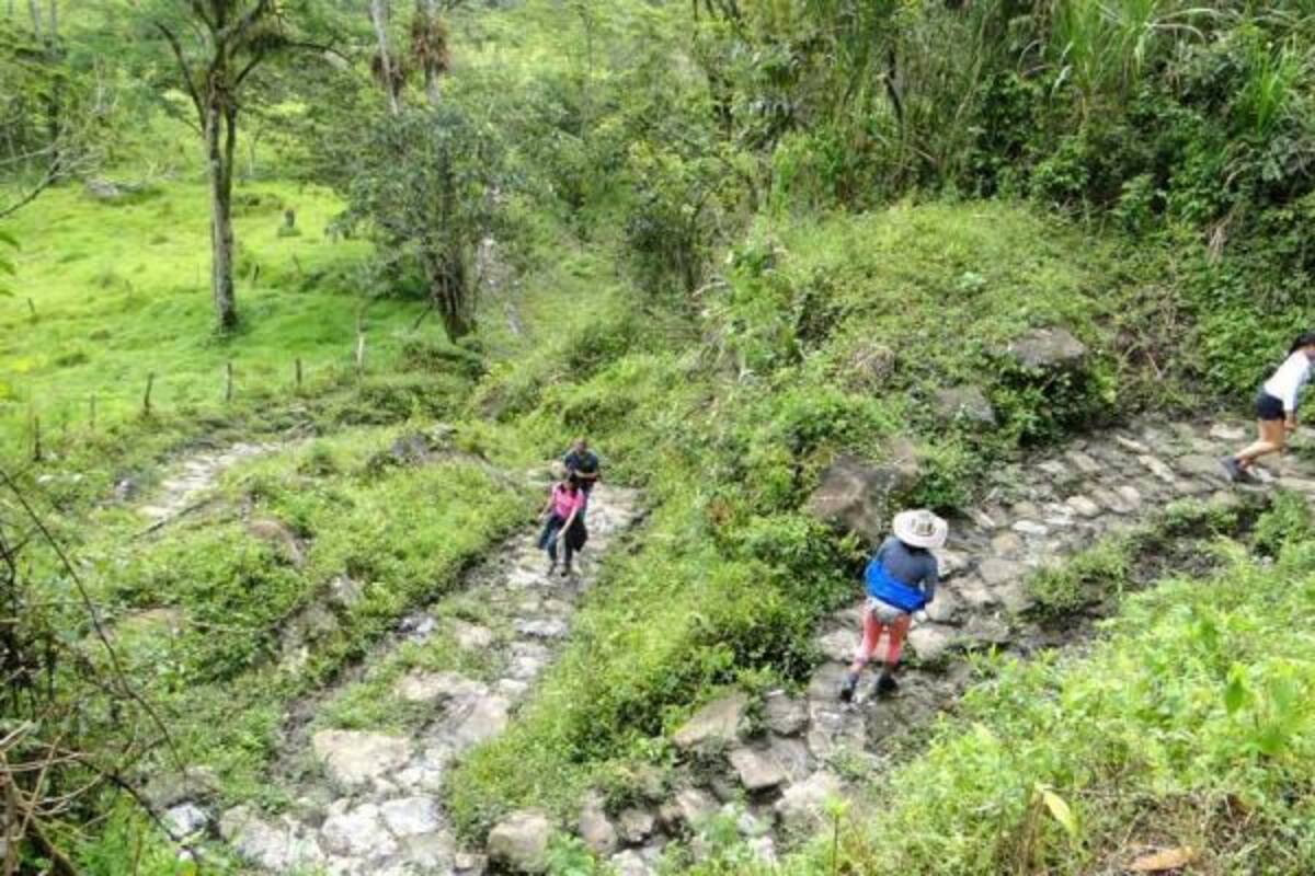 Caminos empedrados como éste que va de Puente Vargas a la vereda Peñuela de Oiba, cargados de historia, leyendas y tradiciones serán los que recorrerán los caminantes durante los días 4, 5 y 6 de mayo.(Foto: Luis Fernando Martínez V. /VANGUARDIA LIBERAL )