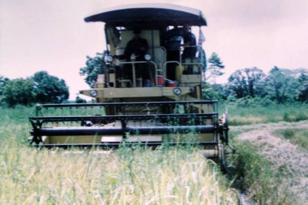 Los industriales serán los encargados del almacenamiento del arroz en el segundo semestre. (Foto: Archivo/VANGUARDIA LIBERAL )
