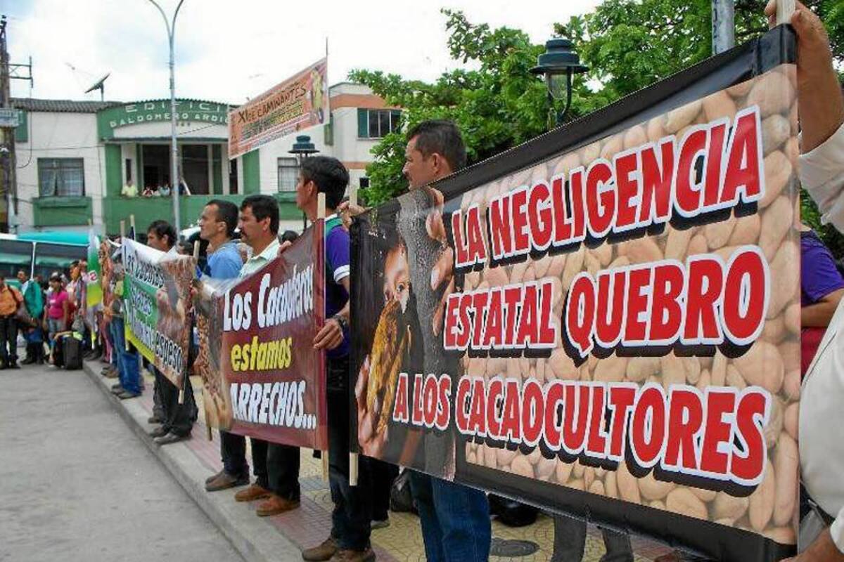 Los cacaoteros del país respaldarán el debate al Minagricultura en el Senado con una movilización nacional de productores. (Foto: Archivo/VANGUARDIA LIBERAL)