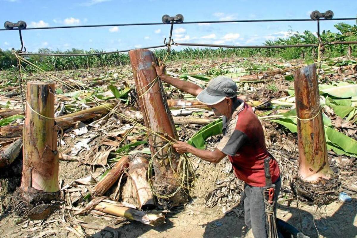 Oportunidad para jóvenes del área rural en carreras agropecuarias