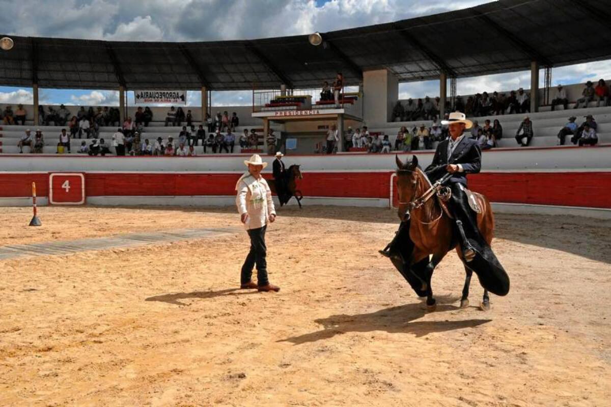 Ante la mirada atenta del juez equino nacional Jaime Benavides se realiza exitosamente la exposición equina grado B en Puente Nacional en el marco de las XLI Ferias y fiestas. (Foto: Luis Fernando Martínez Vargas/VANGUARDIA LIBERAL)