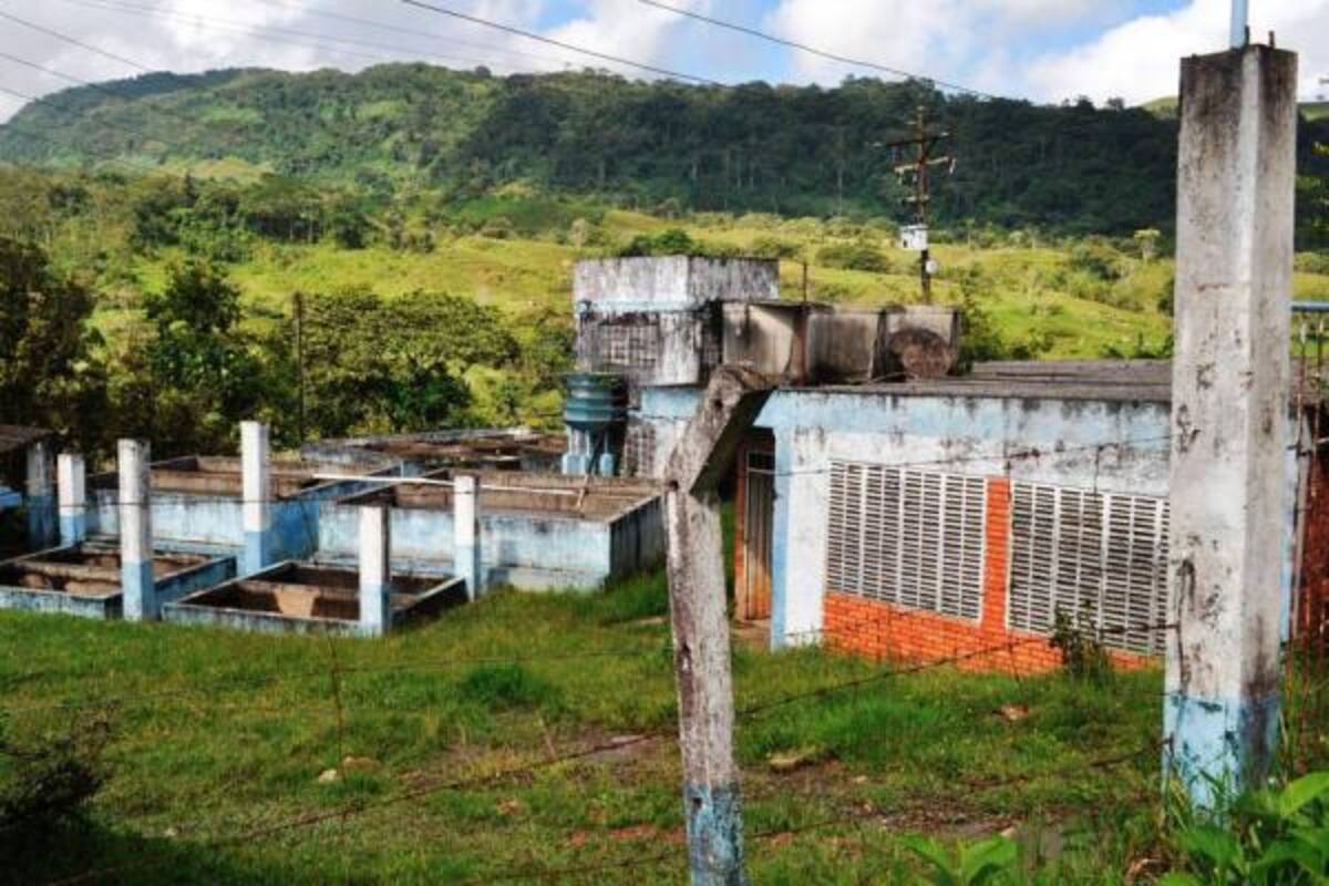 Este es el abandono en que se encuentra la Estación Piscícola de Oiba, que pronto será dada en concesión a un grupo de jóvenes rurales del Sena, para que vuelvan a impulsar este renglón de la economía en Oiba.(Foto: Luis Fernando Martínez V./VANGUARDIA LIBERAL)