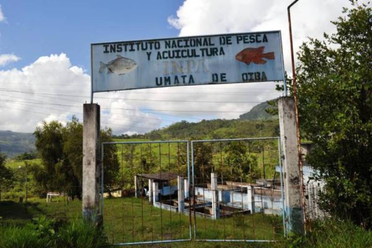 Estos estanques estaban cubiertos con teja de eternit, las cuales tomaron otro rumbo debido al abandono en que estuvo este espacio, que otrora fuera uno de los centros piscícolas más importantes de Santander.(Foto: Luis Fernando Martínez V./VANGUARDIA LIBERAL)