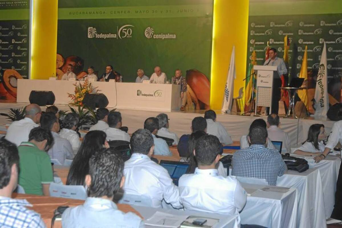 En el XL Congreso Nacional Palmero, que se realiza en Cenfer, los productores estimaron que su competitividad, ahora, depende de factores externos a su actividad productiva. Faltan vías, se crece la revaluación y hay zonas donde la inseguridad es creciente. (Foto: Jaime Del Río/VANGUARDIA LIBERAL)