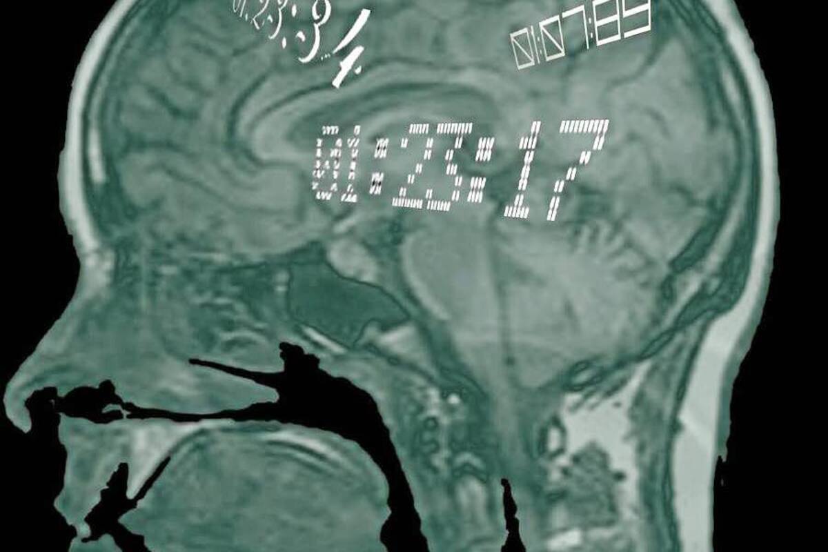 Recientemente se han promocionado los antioxidantes como los encargados de prevenir el envejecimiento cerebral, pero los neurólogos insisten en que, hasta el momento, no hay estudios que avalen esta teoría. Señalan que lo mejor es llevar una vida saludable. (Foto: Tomada de Internet / VANGUARDIA LIBERAL)