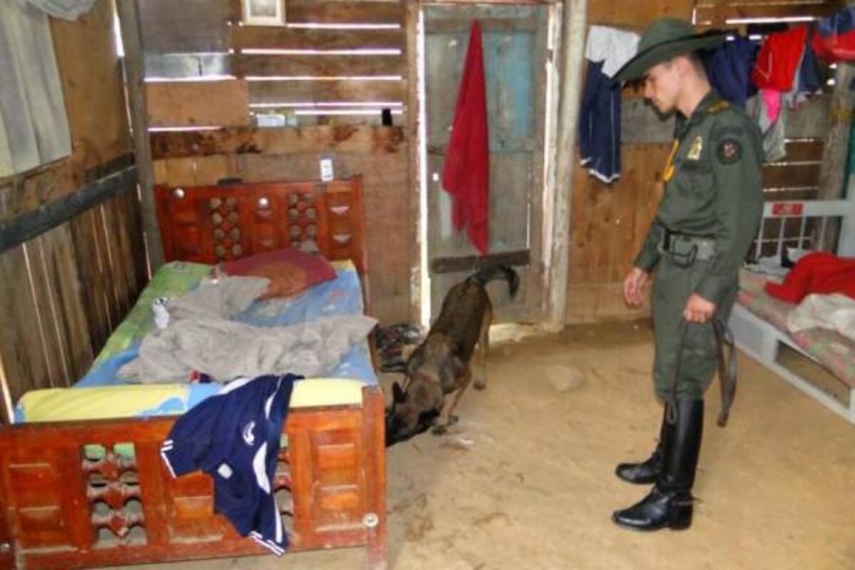 El operativo fue adelantado por la Unidad Investigativa de Estupefacientes de la Sijín en el asentamiento humano 'El Pájaro'. (Foto: / VANGUARDIA LIBERAL)