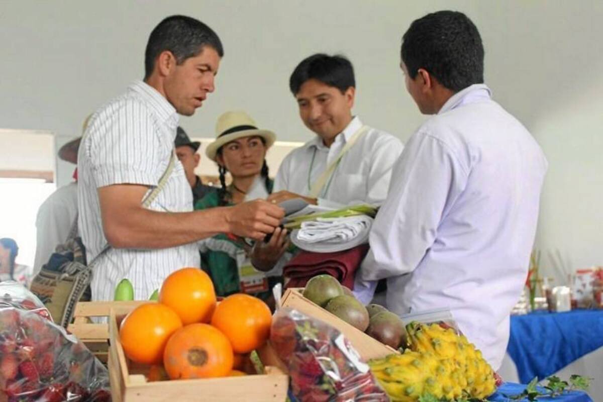 En este evento, programado por el Centro de gestión agroempresarial del Oriente, se exhibirán proyectos desarrollados por los aprendices. (Foto: Suministrada Prensa SENA/VANGUARDIA LIBERAL)