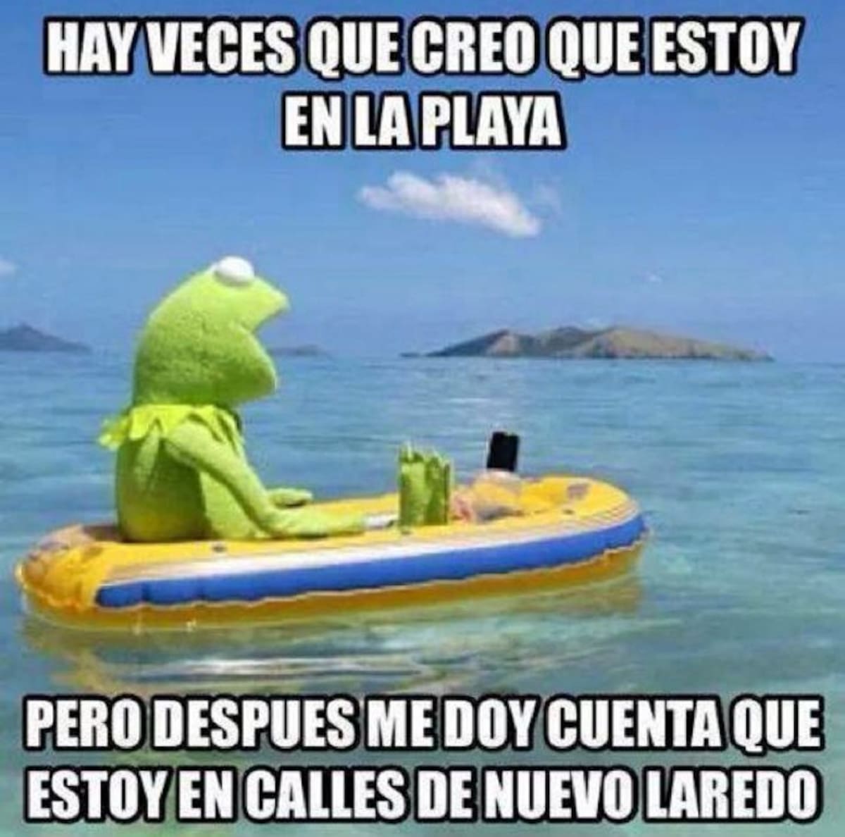 Las Rana Rene Memes Los memes que convirtieron a la rana René en contenido viral de redes