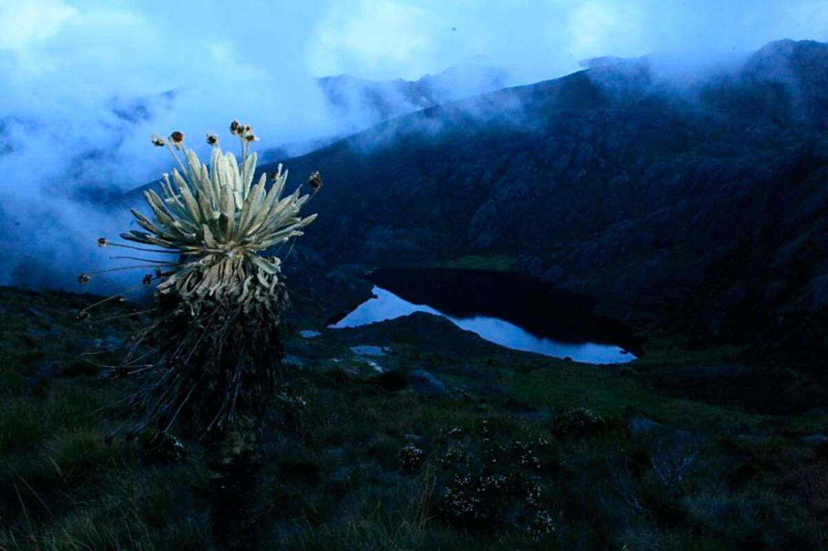 Laguna de Cuntas, en Vetas, parte del páramo de Santurbán. (Foto: César Flórez / VANGUARDIA LIBERAL)