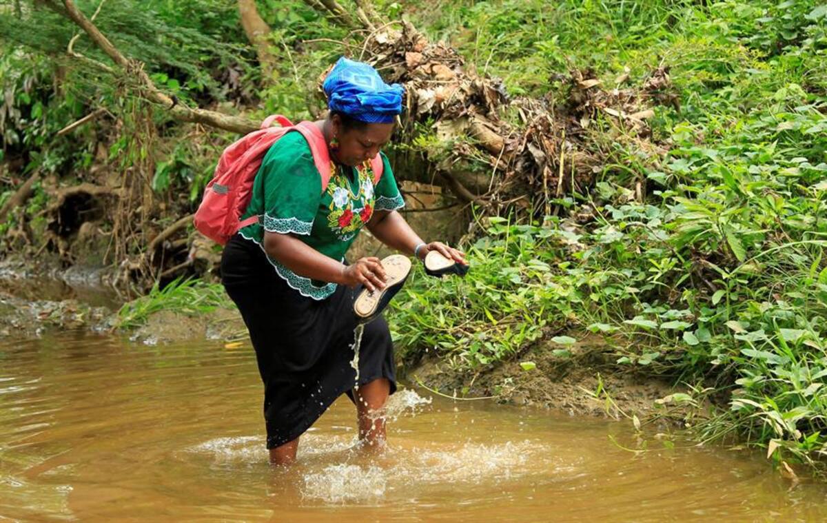 EFE/ RICARDO MALDONADO ROZO