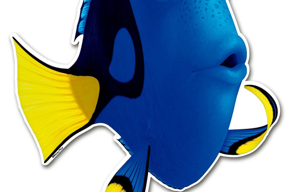 Si todo se le olvida al igual que a aquel querido personaje animado, interpretado por Ellen Degeneris, Dory, entonces este artículo es para usted. Foto: Tomada de Internet/VANGUARDIA