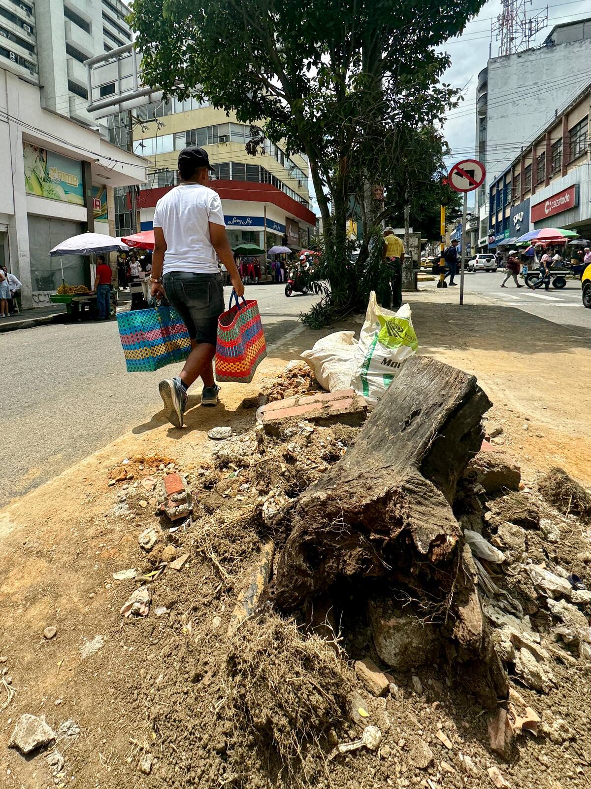 Separador dela calle 36 de Bucaramanga. (Foto: Diego Calderón / VANGUARDIA)