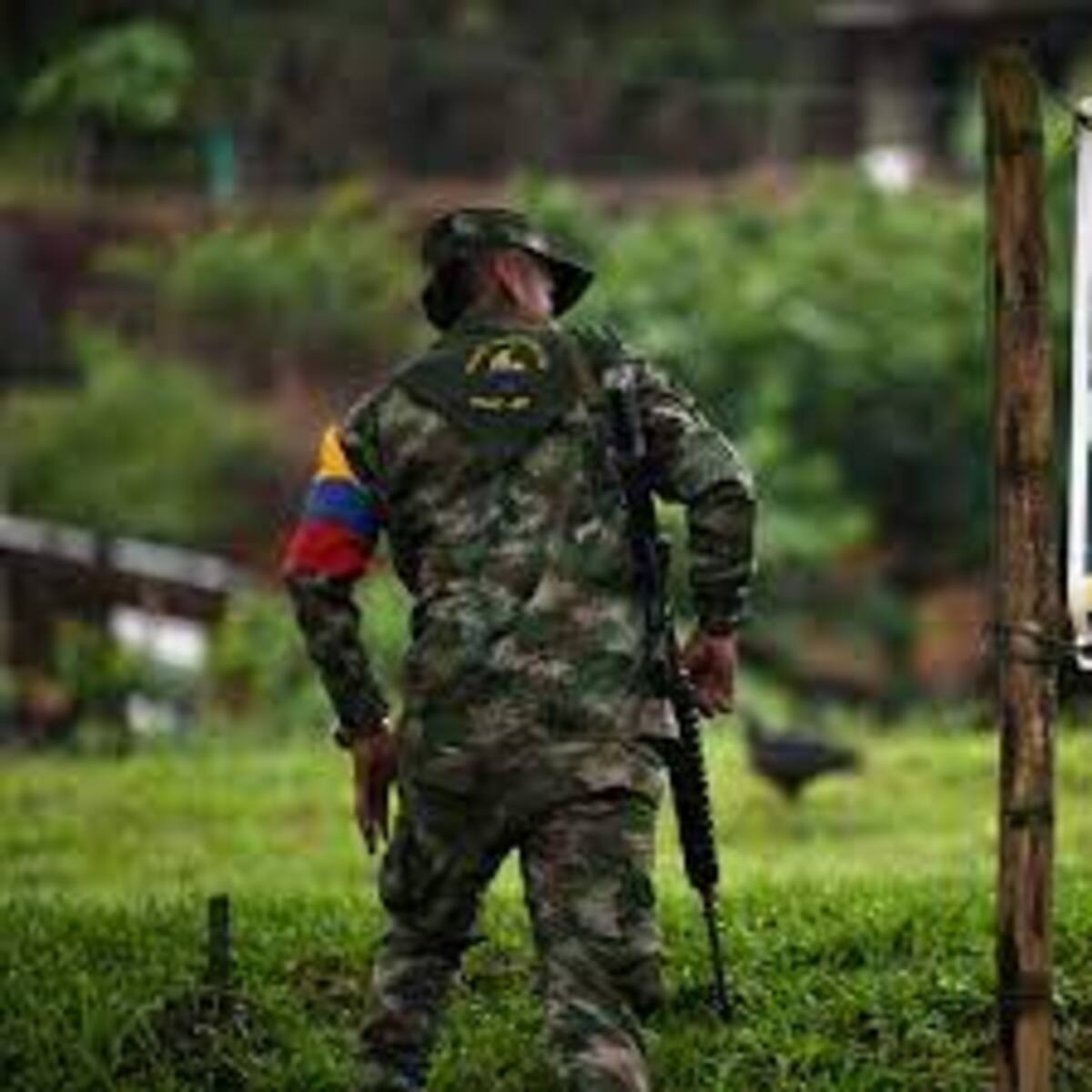 El panorama hacia el futuro de la Paz Total “es complejo y poco optimista”, teniendo en cuenta el fortalecimiento de grupos armados como el Clan del Golfo, que parece operar a sus anchas.