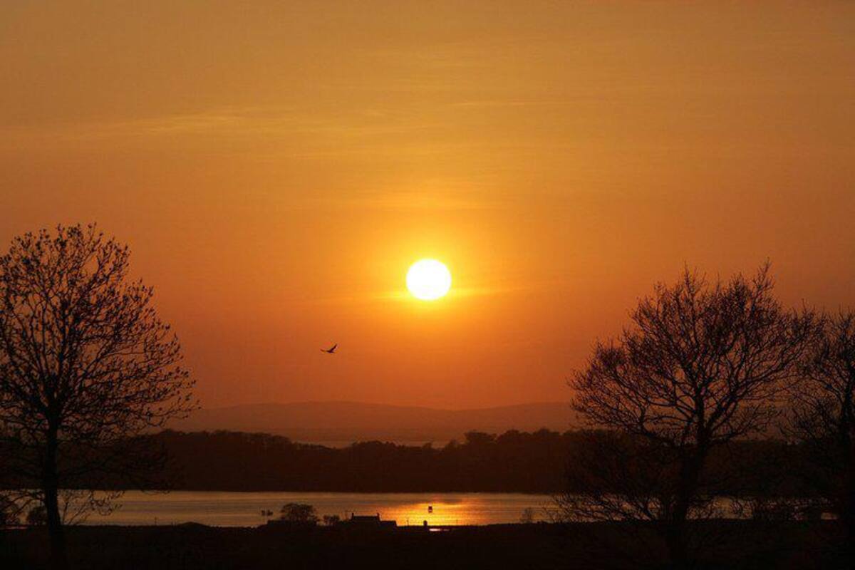 Confirman que 2020 fue uno de los tres años más calurosos de la historia EFE/VANGUARDIA