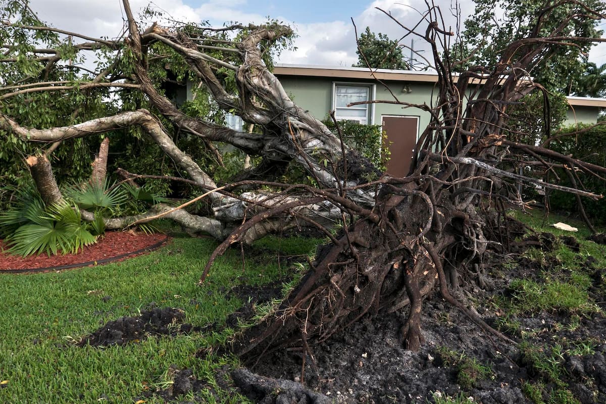 Los daños más graves se presentaron en el área residencial de Fort Myers, en Florida. Internet / VANGUARDIA