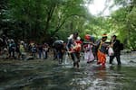 Cerca de 600.000 personas migrantes atravesaron la selva del Darién el año pasado