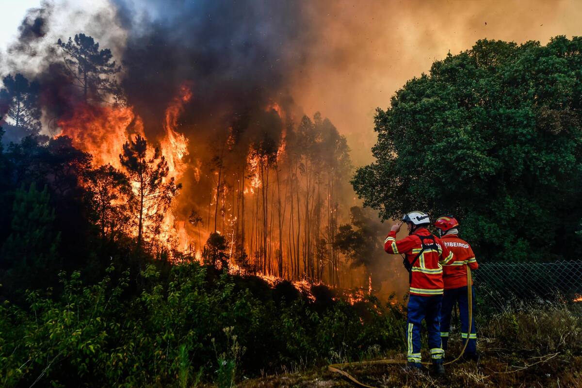 Bomberos combaten el fuego en el incendio forestal de Lavradio, Ourem, Portugal. EFE / VANGUARDIA