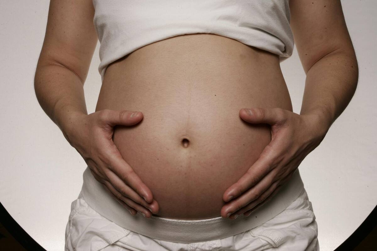 El timo, una glándula clave para evitar la diabetes y los abortos espontáneos EFE/VANGUARDIA