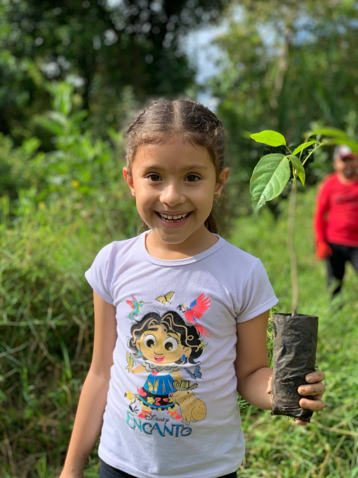 En los 87 municipios se sembraron árboles.