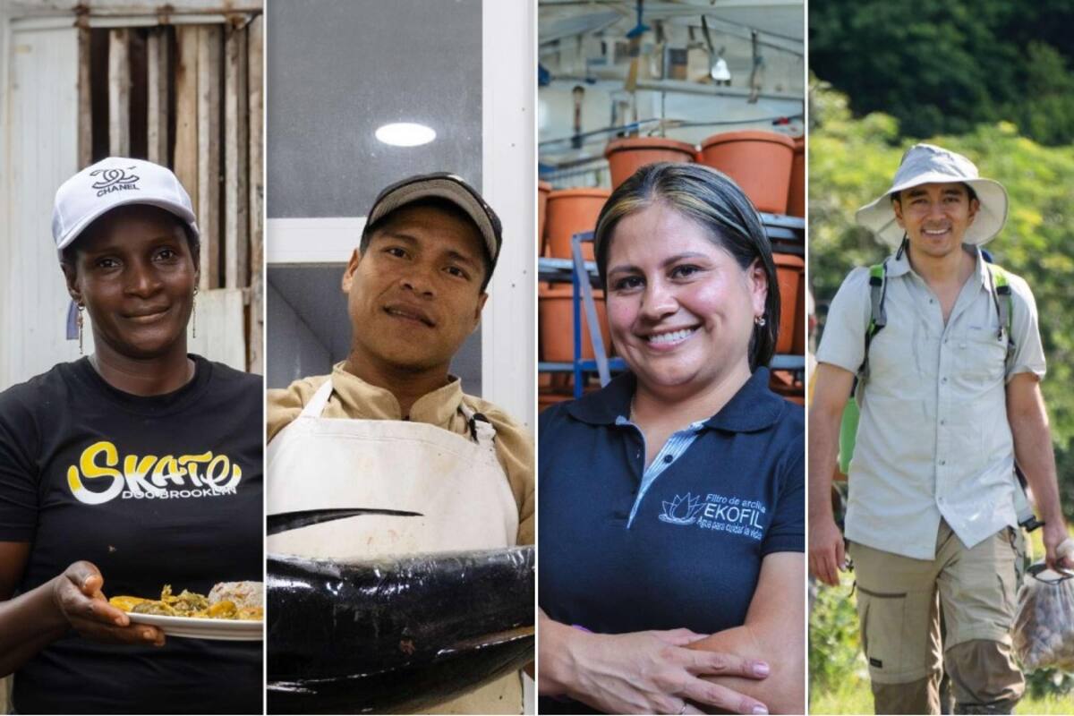 Ganadores del Premio Emprender Paz 2024