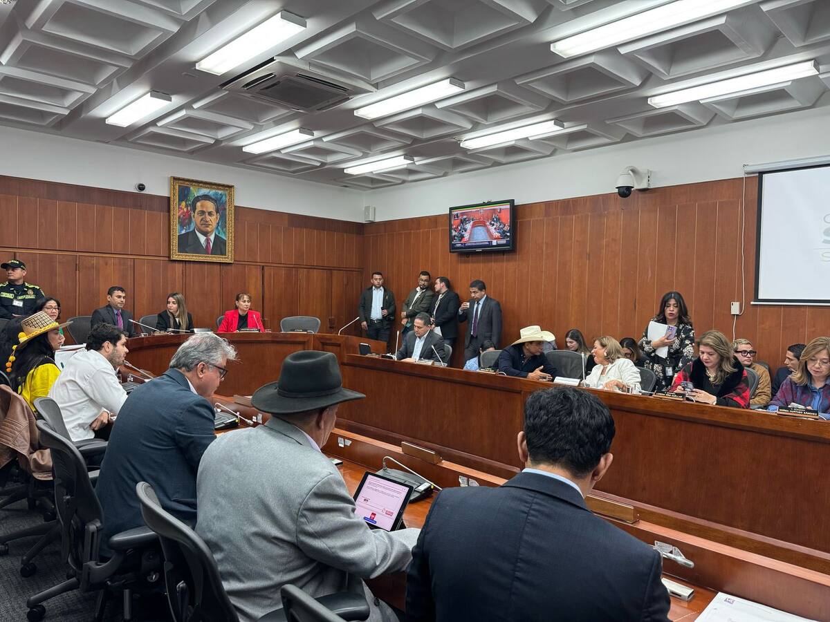 Estos serán los ponentes de la reforma a la salud en la opositora Comisión Séptima del Senado
