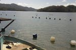 Tragedia en Bahía Solano: tres turistas muertos y un desaparecido