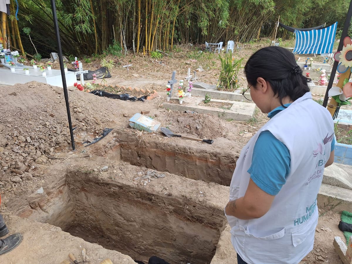 Barrancabermeja emerge como el municipio con mayor número de desapariciones, seguido de Cimitarra, San Vicente de Chucurí, Bucaramanga y su área metropolitana, y el Carmen de Chucurí. Estas localidades representan los principales focos de desapariciones en Santander. Suministrada / VANGUARDIA