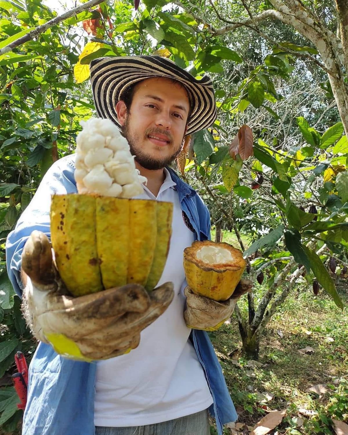 Jonnathan Pinto es el líder de Chocolate Origen, en Rionegro, Santander, que le apuesta al agroturismo. Foto: Chocolate Origen - Suministrada