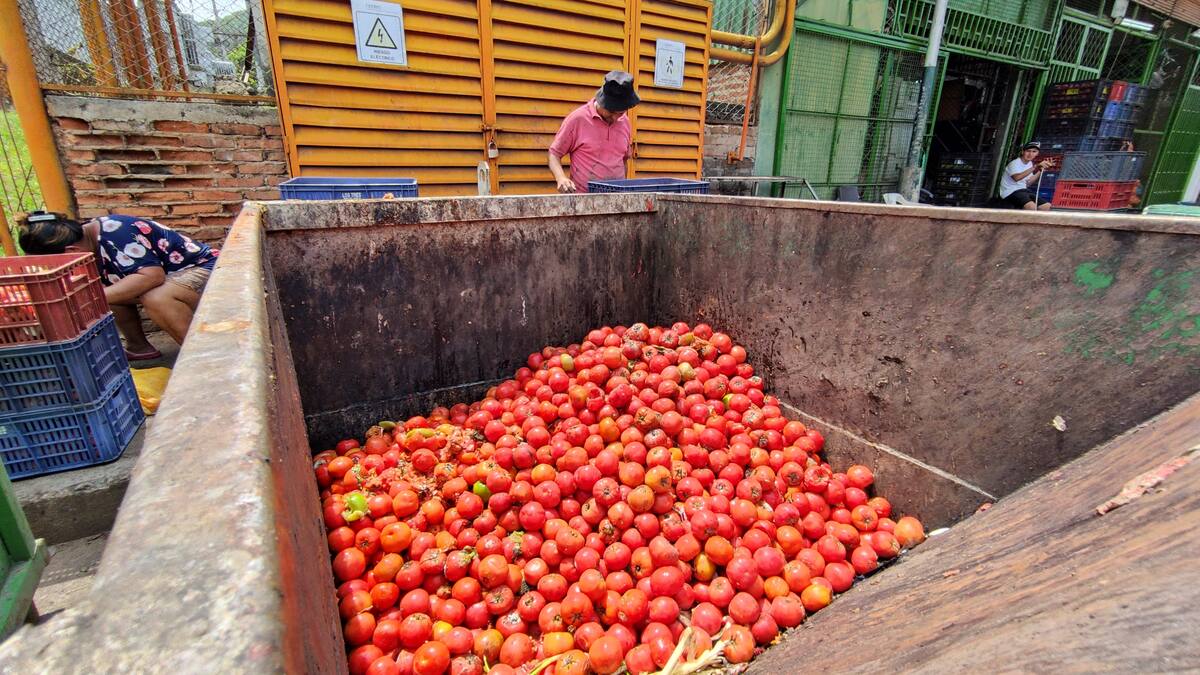 El tomate ha sido uno de los productos que se ha represado en Centroabastos de Bucaramanga | Foto Marco Valencia / VANGUARDIA