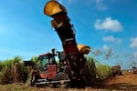 Findeter lanza línea de crédito por $100 mil millones para el sector agropecuario y rural