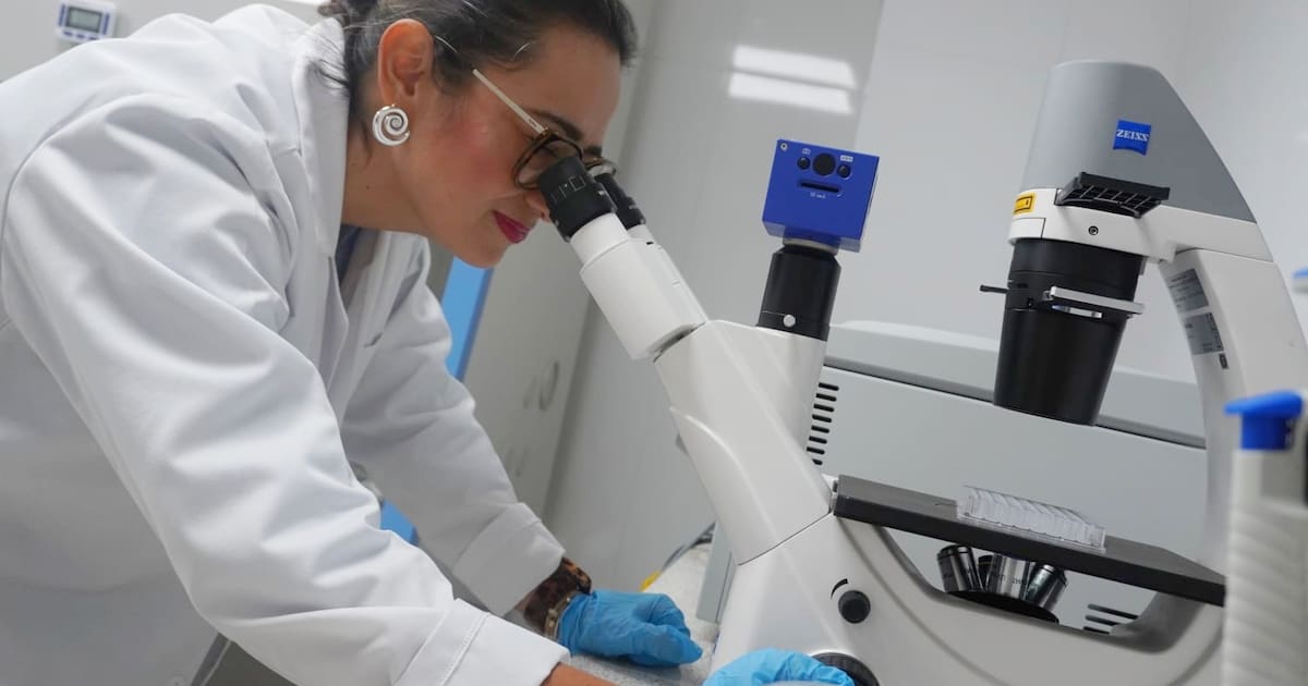 Así usan inteligencia artificial para la investigación en Santander