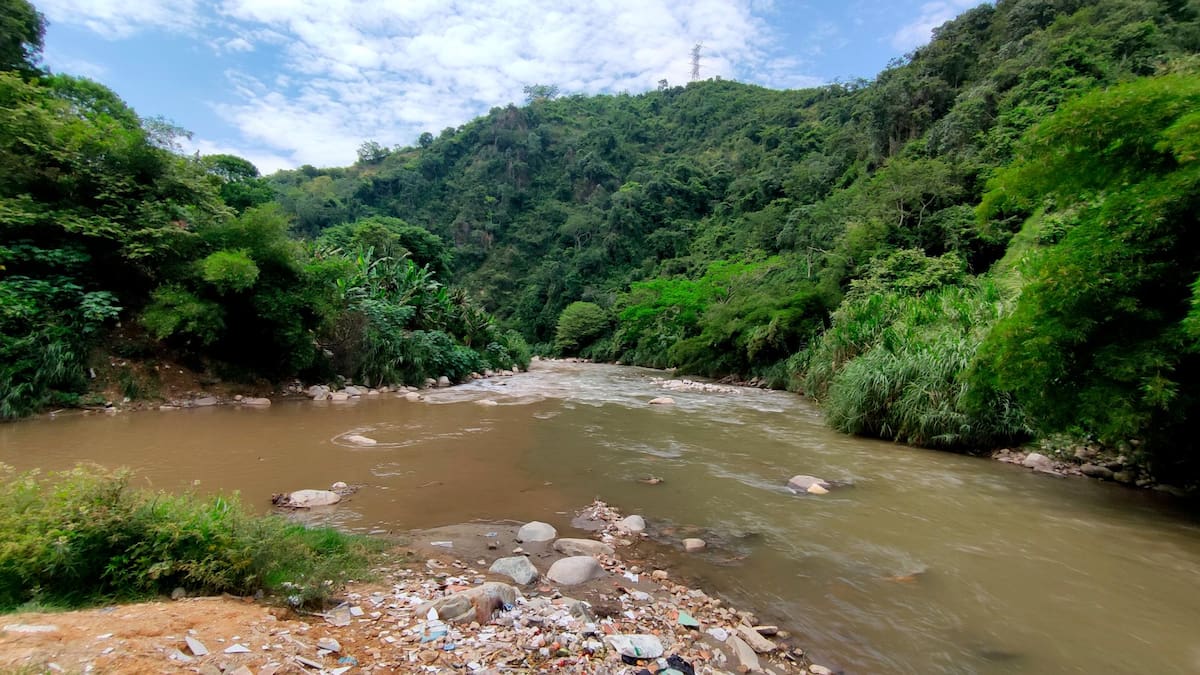 Qué pasa en el río Suratá? Cuatro décadas de contaminación con ...