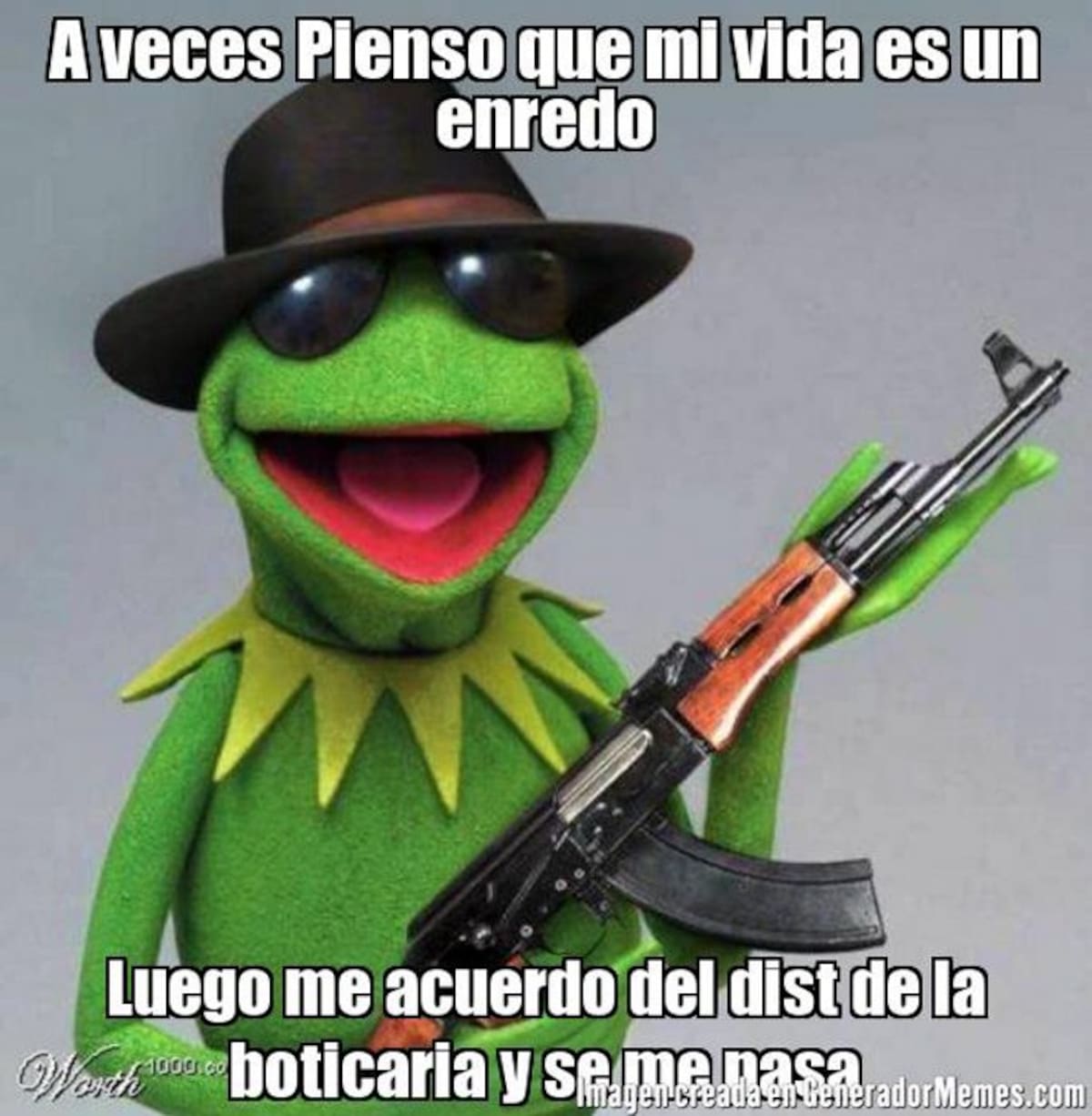 Las Rana Rene Memes Los memes que convirtieron a la rana René en contenido viral de redes