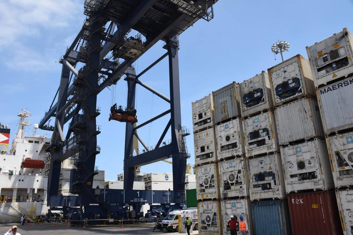 Exportaciones no mineras de Colombia crecen más de 23% en el primer trimestre de 2025. Foto: Suministrada