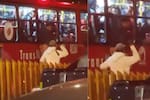 Atrapado en la ventana de un TransMilenio: así terminó presunto intento de robo en Bogotá