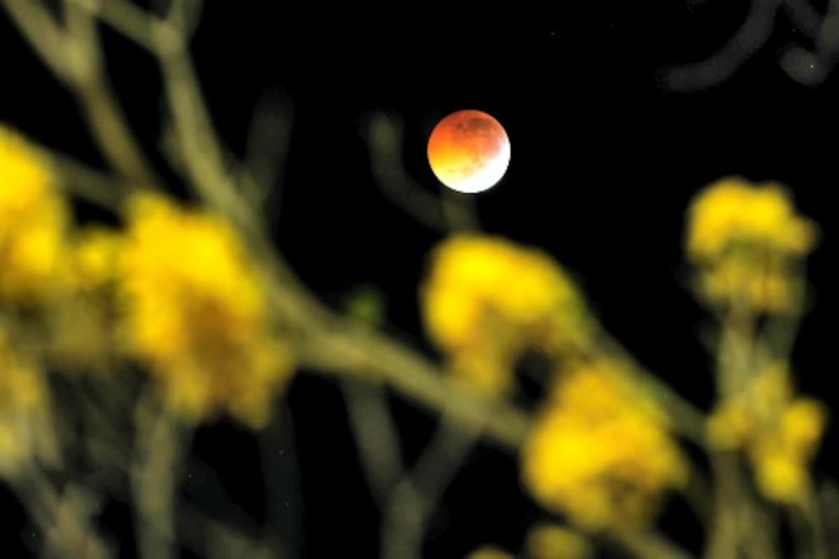 A picture shows the moon during a total lunar eclipse as seen from The Americas Square in San Salvador, El Salvador on December 21, 2010. This eclipse takes place just hours before the December solstice, which marks the beginning of northern winter and southern summer. AFP PHOTO/ Jose CABEZAS