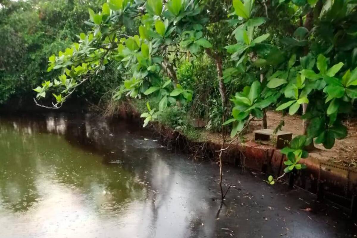 Son 11 piscinas dedicadas a la piscicultura las que tenía la propietaria de la finca.
