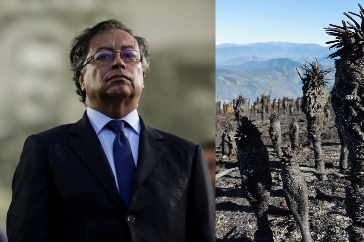 Presidente Gustavo Petro. Redes sociales / VANGUARDIA