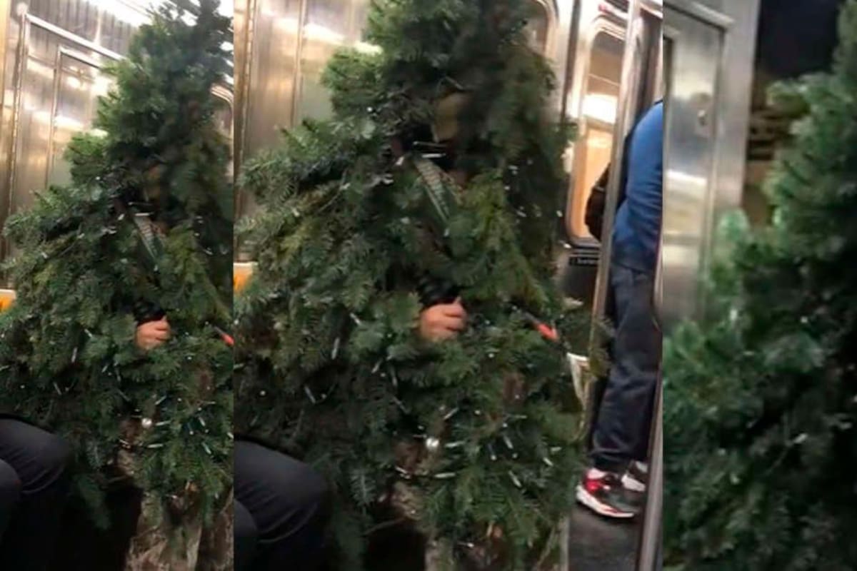 Usuarios del medio de transporte no quisieron dejar pasar el momento y grabaron con sus celulares al sujeto. La publicación ha alcanzado cerca del millón de reproducciones en TikTok. Captura de video / VANGUARDIA