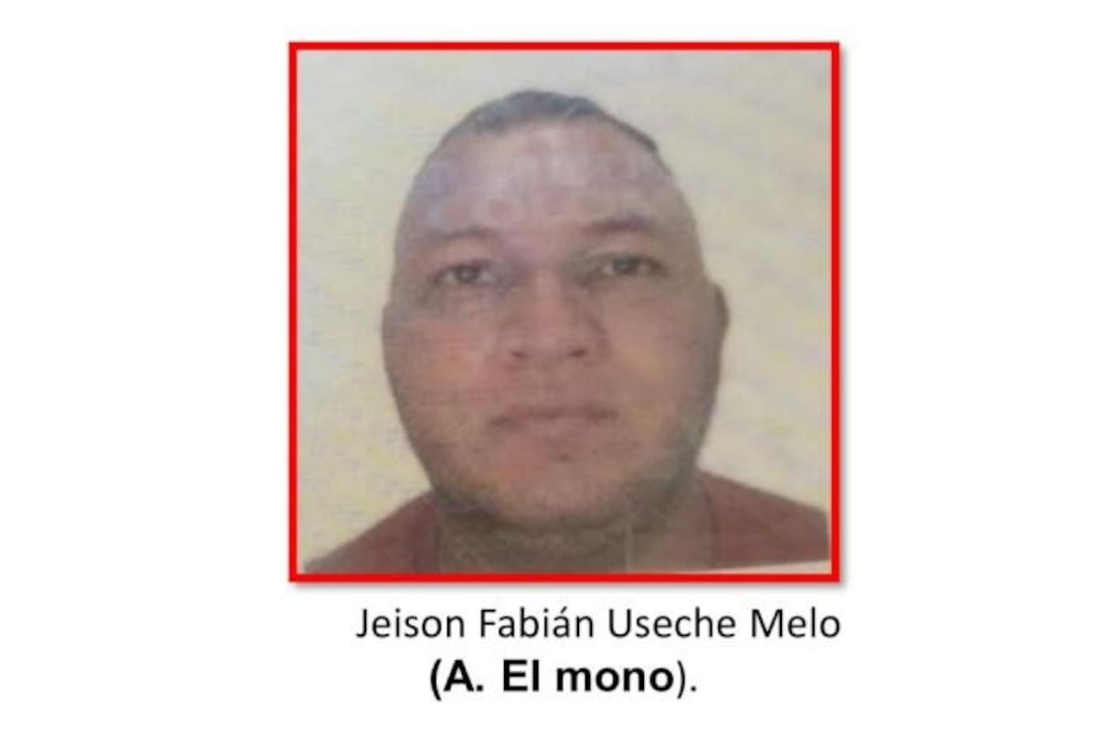 Abatido alias 'El Mono',/ tomada de Blu Radio
