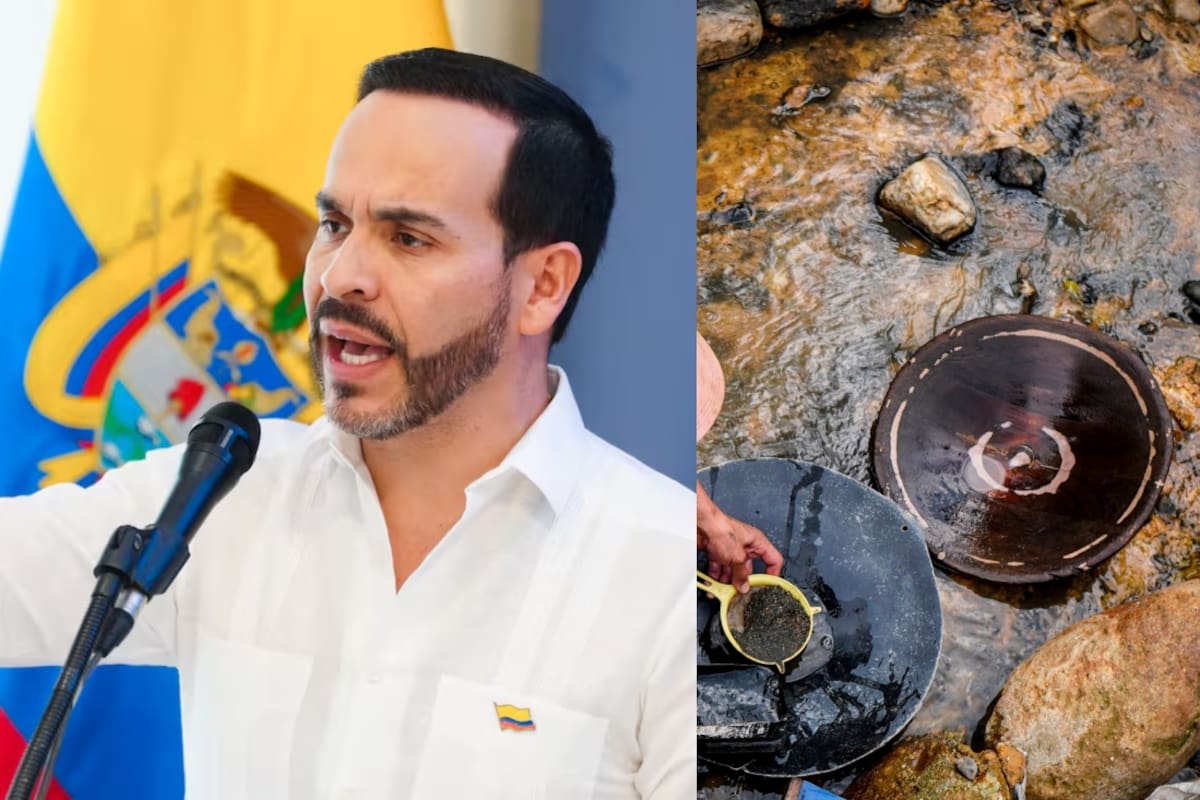 La maquinaria retirada del lugar también habría representado un golpe económico para esa actividad. El presidente aseguró que su inutilización afectó en $6.264 millones la cadena logística.